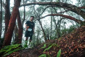 BIB: 
                            <button type="button" onclick="openModal(26343993)" class="btn btn-primary btn-sm float-right btn-popup" data-toggle="modal" data-target=".modal-high-quality">
                        <i class="fas fa-shopping-cart"></i> Add to Cart
                    </button>
                                            <button type="button" onclick="isThisMe(26343993, true)" class="btn btn-success btn-sm float-right btn-popup btn-isme hidden" data-toggle="tooltip" data-placement="bottom" title="นี่คือรูปของคุณใช่ไหม คลิกที่นี่เพื่อเอาเข้าอัลบั้ม">
                        <i class="fas fa-plus"></i> Add to album
                    </button>
                    <button type="button" onclick="isThisMe(26343993, false)" class="btn btn-warning btn-sm float-right btn-popup btn-isnotme hidden">
                        <i class="fas fa-ban"></i> Remove from album
                    </button>